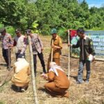 Dukung Swasembada Pangan 2026, Polsek Bintang Ara dan Kelompok Tani Tanam Jagung Kuartal II