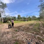 Polri Dampingi  Petani Tanam Jagung. hebrida Didesa Padang Panjang