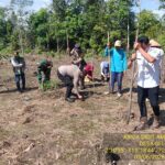 Polsek dan Petani Desa Sungai Pimping Tanam Jagung Hebrida Demi Terwujud Ketahanan Pangan